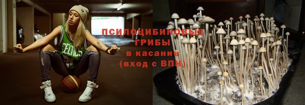 амф Алексин