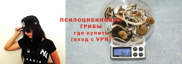 каннабис Алексеевка