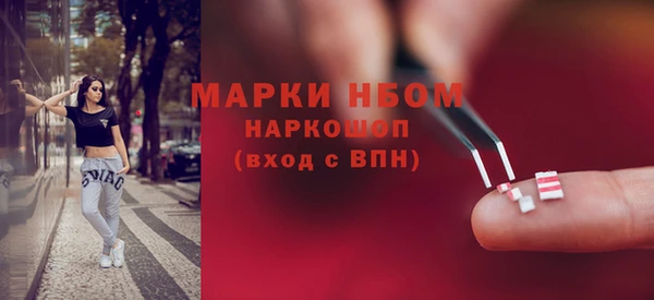 амф Гусев