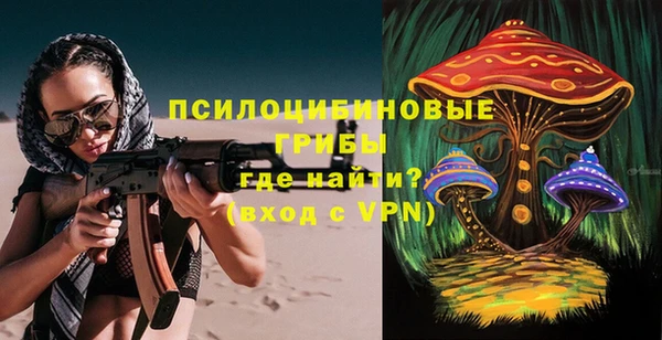 амф Алексин